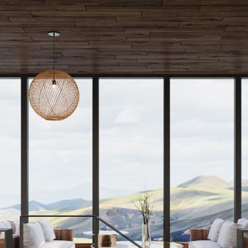 Sonic Timber Plank