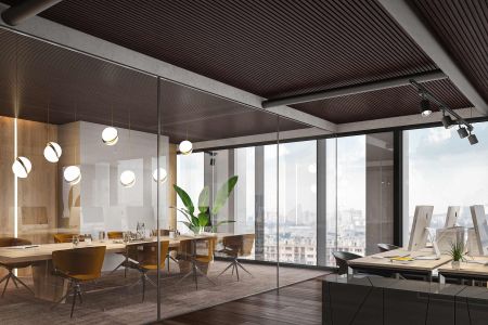 Hushwood Office Ceiling