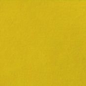 Bright Mustard