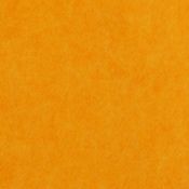 Sunkist Orange