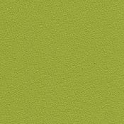 096 Avocado
