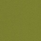 097 Frog