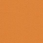 083 Sunkist