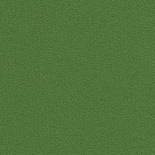 197 Grass