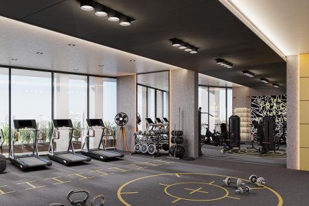 Sonic Ultra Plus High-Impact - Fitness Center
